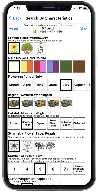 Washington Wildflowers search screen
