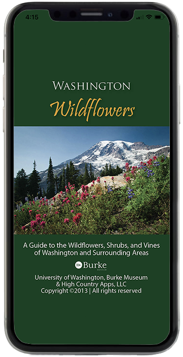Washington Wildflowers launch screen