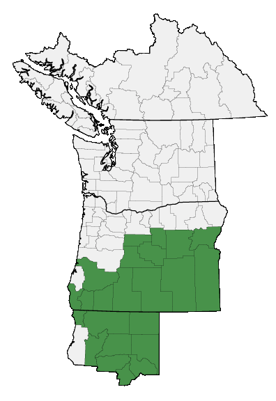 Map of where Castilleja applegatei ssp. pinetorum is found