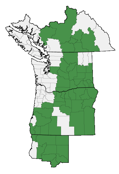 Map of where Ericameria nauseosa is found