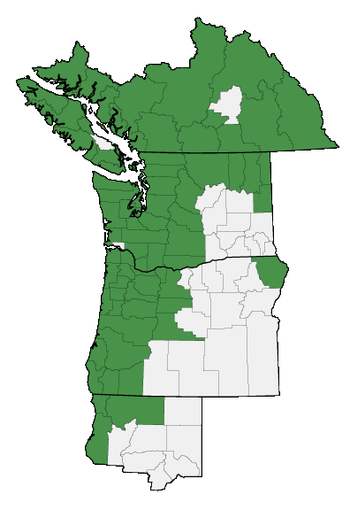 Map of where Lilium columbianum is found
