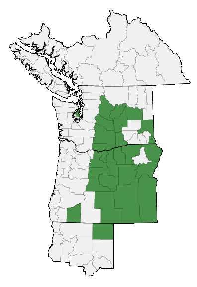 Map of where Lomatium canbyi is found
