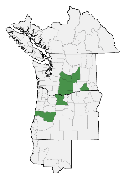 Map of where Lomatium columbianum is found