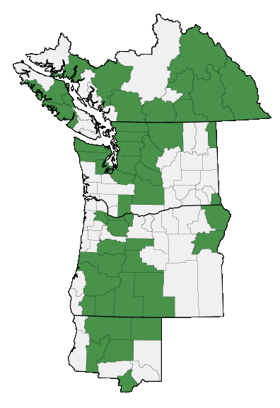 Map of where Anemone occidentalis is found