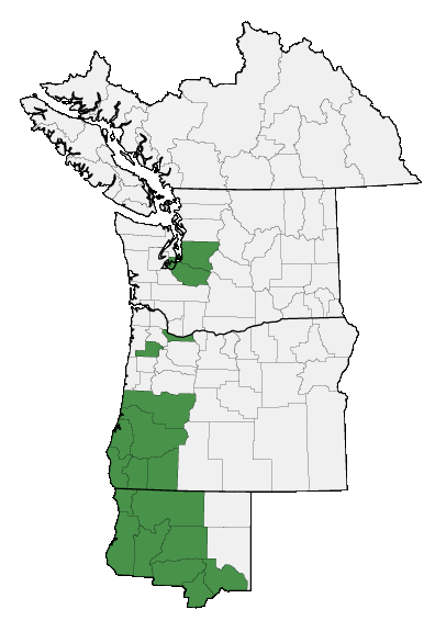 Map of where Rhododendron occidentale is found