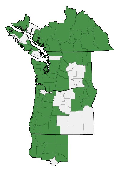 Map of where Sambucus racemosa is found