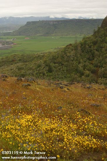 Goldfields w/ view to Lower Table Rock & Agate Desert farmland under rain clouds