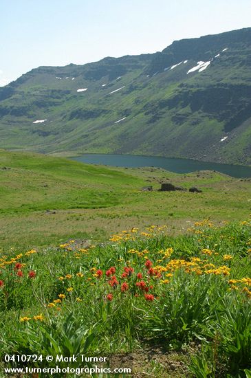 Orange Sneezeweed & Indian Paintbrush above Wildhorse Lake