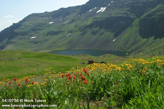 Orange Sneezeweed & Indian Paintbrush above Wildhorse Lake