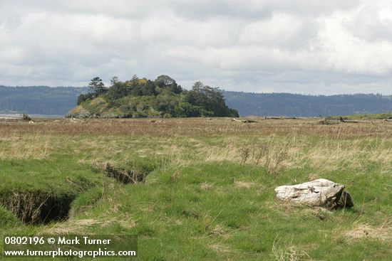 Craft Island view from across salt meadow