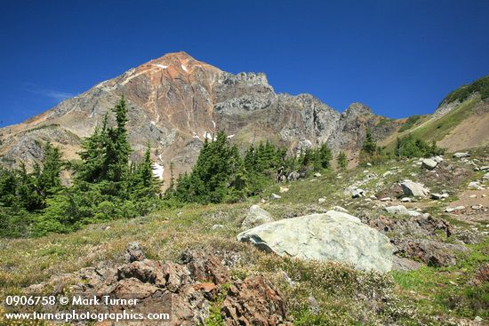 White Heather & Subalpine Firs on rocky ridge at High Pass w/ view to Mt. Larrabee