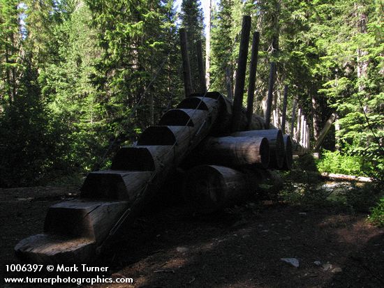 Log bridge over Granite Creek