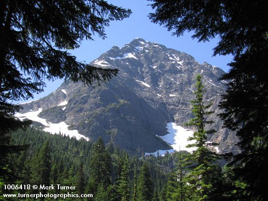 Unnamed peak on Ragged Ridge framed by Mountain Hemlocks
