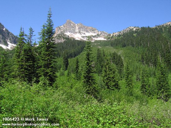 Unnamed peak on Ragged Ridge w/ Subaline First & Willows fgnd