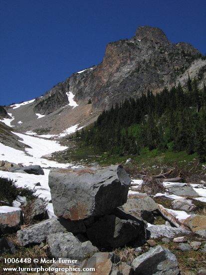 Unnamed peak on Ragged Ridge w/ Subaline Firs on slope above avalanche track