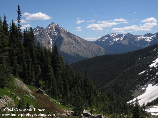 Mt. Hardy & Methow Pass on skyline w/ Subaline Firs on slope