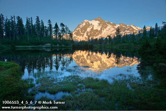 Mt. Shuksan reflected in Picture Lake near sunset w/ Mountain Hemlock silhouettes
