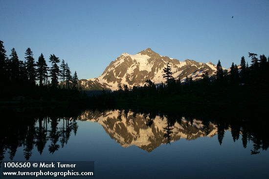 Mt. Shuksan reflected in Picture Lake near sunset w/ Mountain Hemlock silhouettes