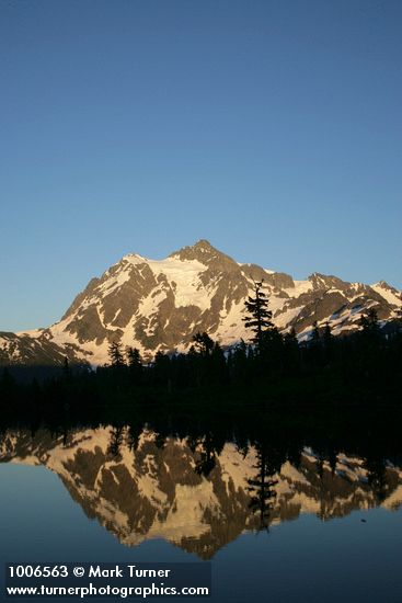 Mt. Shuksan reflected in Picture Lake near sunset w/ Mountain Hemlock silhouettes