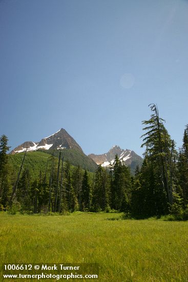 Mountain Hemlocks & Alaksa Yellow Cedars ring Sedge & Narrow-leaved Cottongrass meadow w/ North & South Twin Sisters bkgnd