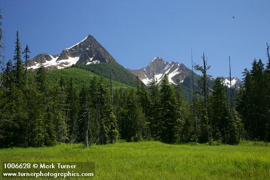 Mountain Hemlocks & Alaksa Yellow Cedars ring Sedge & Narrow-leaved Cottongrass meadow w/ North & South Twin Sisters bkgnd