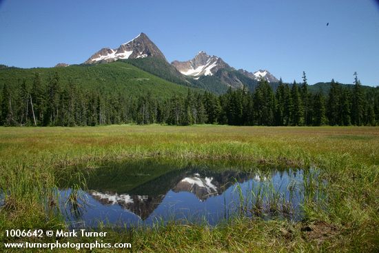 North & South Twin Sisters reflected in small pond in Cottongrass meadow w/ Mountain Hemlocks & Alaksa Yellow Cedars
