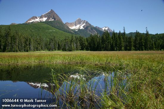 North & South Twin Sisters reflected in small pond in Cottongrass meadow w/ Mountain Hemlocks & Alaksa Yellow Cedars
