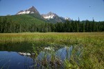 North & South Twin Sisters reflected in small pond in Cottongrass meadow w/ Mountain Hemlocks & Alaksa Yellow Cedars