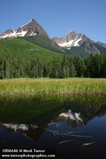 North & South Twin Sisters reflected in small pond in Cottongrass meadow w/ Mountain Hemlocks & Alaksa Yellow Cedars