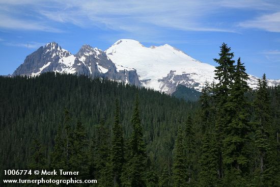 Mount Baker w/ Mountain Hemlocks fgnd