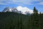 Mount Baker w/ Mountain Hemlocks fgnd