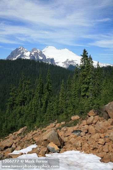 Mount Baker w/ Mountain Hemlocks fgnd