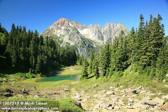 Mountain Hemlocks, Subalpine Firs by small tarn w/ Arctic Willow fgnd, Mt. Larrabee bkgnd