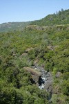 Big Chico Creek Canyon w/ Blue Oak, Canyon Live Oak, Grey Pine