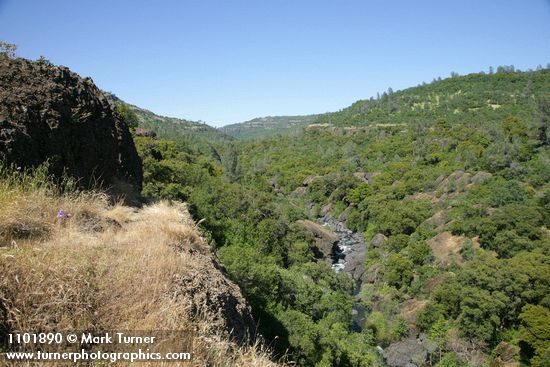 Big Chico Creek Canyon w/ Blue Oak, Canyon Live Oak, Grey Pine