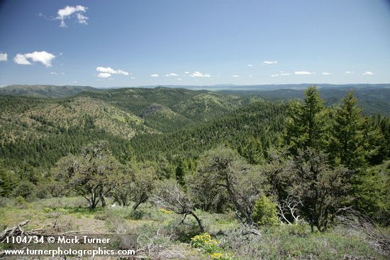 Aldrich Mountains landscape w/ Mountain Mahogany fgnd