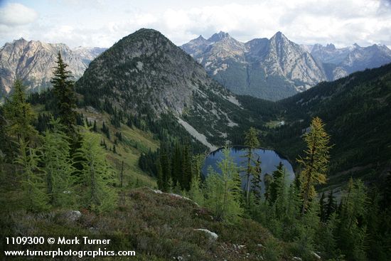 Subalpine Larches above Lake Ann