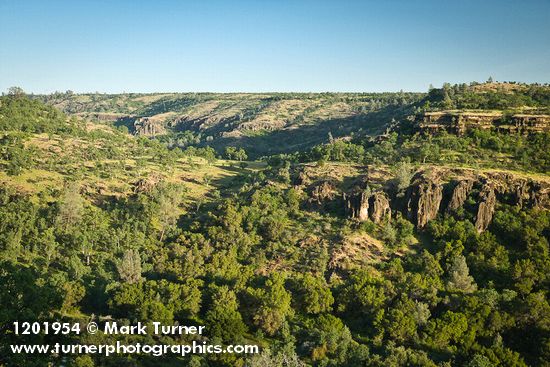 Oak woodland w/ Blue Oak, Valley Oak, Canyon Live Oak, Gray Pines [pan 1 of 4]