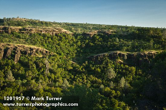 Oak woodland w/ Blue Oak, Valley Oak, Canyon Live Oak, Gray Pines [pan 4 of 4]