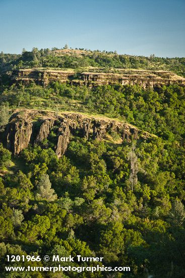 Oak woodland w/ Blue Oak, Valley Oak, Canyon Live Oak, Gray Pines [pan 5 of 7]