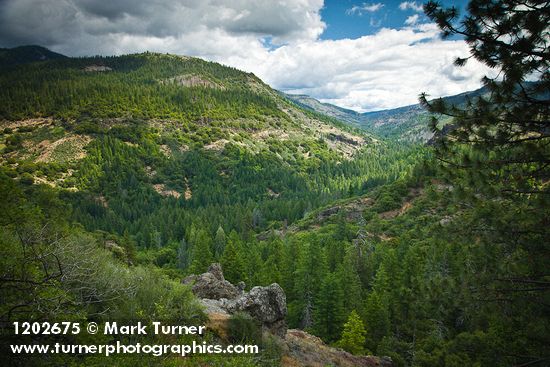 Lassen National Forest landscape w/ Firs, Ponderosa Pine, Manzanitas