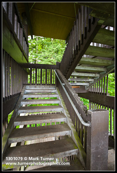 Observation tower steps